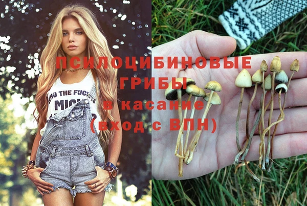 кокс Гусь-Хрустальный