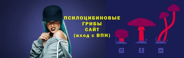 сатива Алапаевск