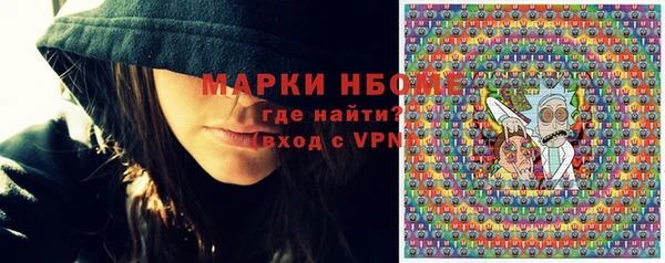 Альфа ПВП Горняк