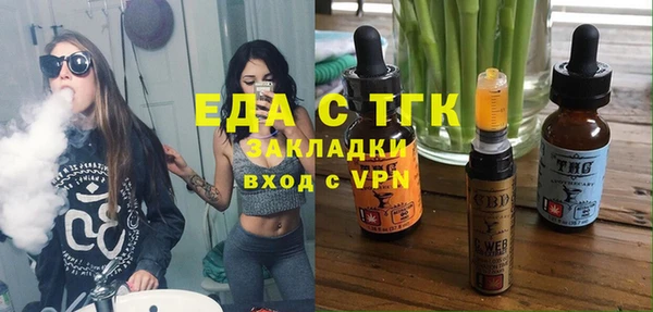 мдпв Гусев