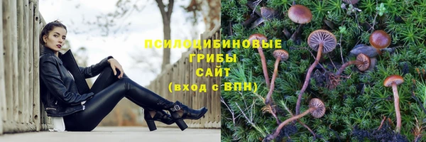 Альфа ПВП Горняк