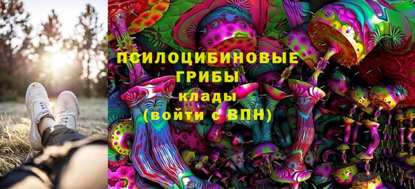 Альфа ПВП Горняк