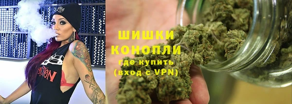 Альфа ПВП Горняк