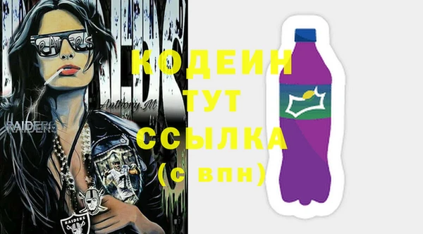 Альфа ПВП Горняк
