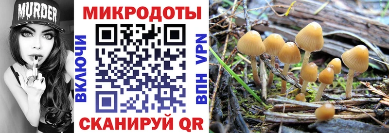 Псилоцибиновые грибы ЛСД  Купить  Дальнереченск 