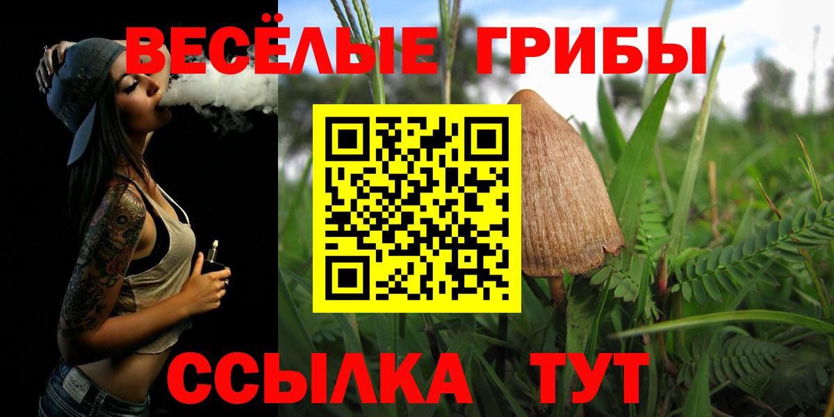 Псилоцибиновые грибы Cubensis Дальнереченск